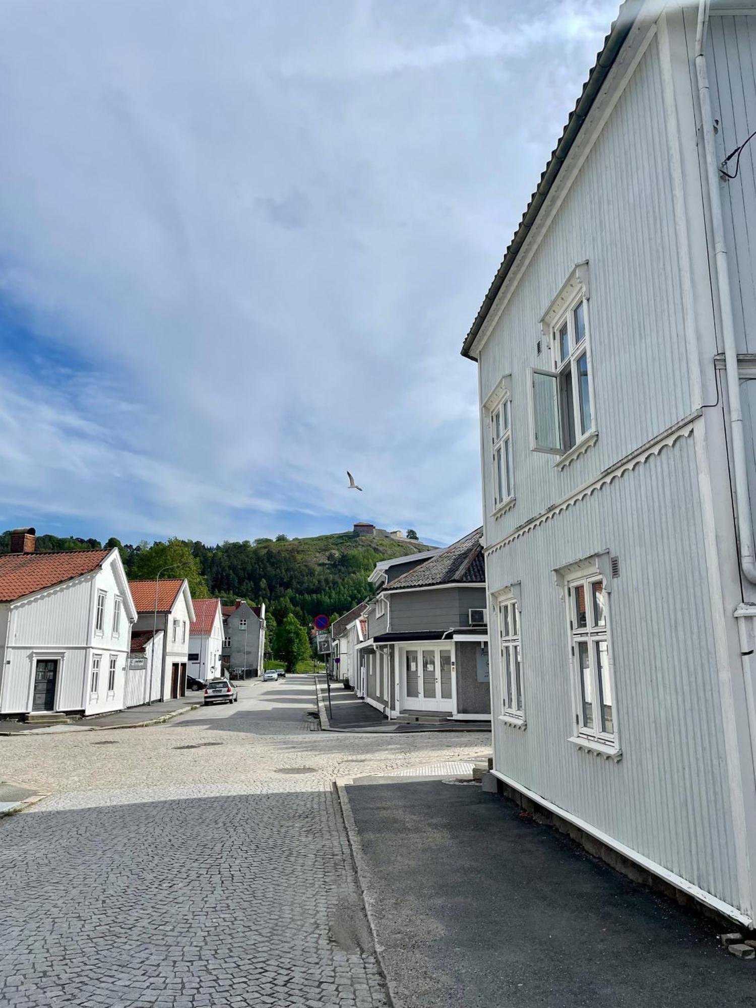 Sentral Og Fargerik Bygardsleilighet Halden Exteriör bild